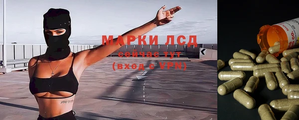 шишки Алексеевка