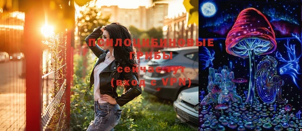 шишки Алексеевка