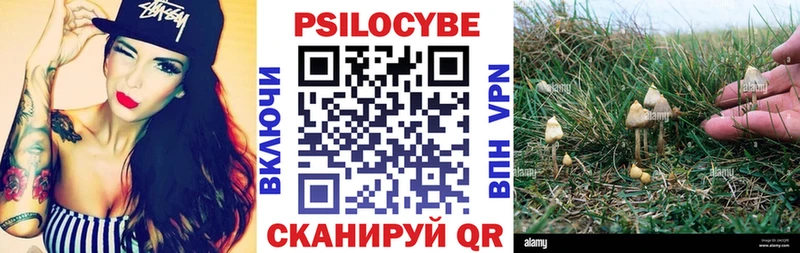 Псилоцибиновые грибы Psilocybine cubensis  Купить где  Моздок 