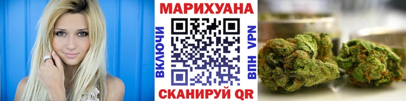 Бошки марихуана план  Купить где  Моздок 